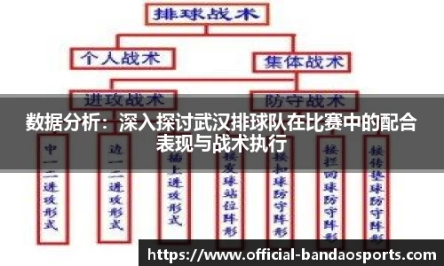 数据分析：深入探讨武汉排球队在比赛中的配合表现与战术执行